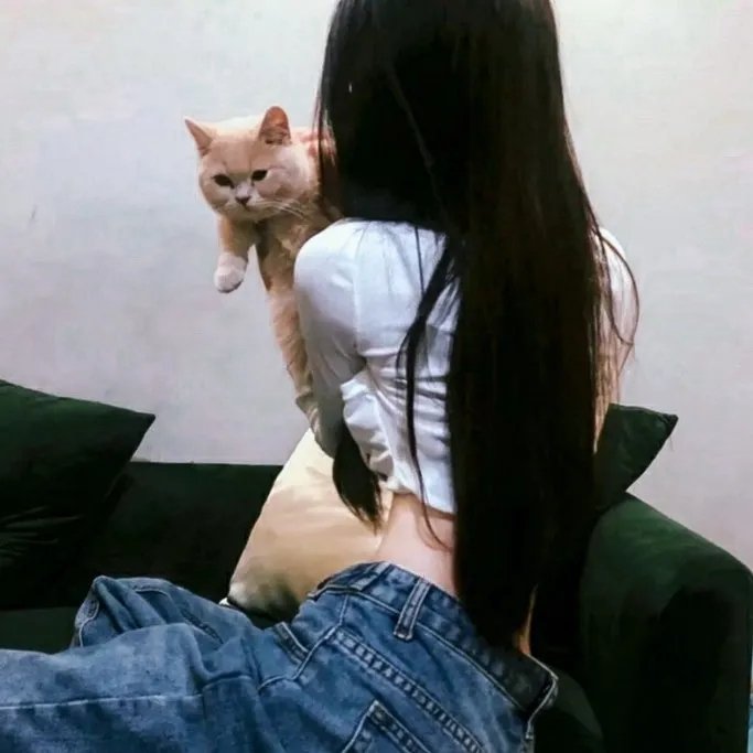 鳄鱼藏尸日记